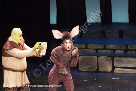 172_9954_MG_2612