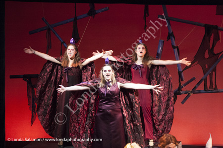 199_9954_MG_2681