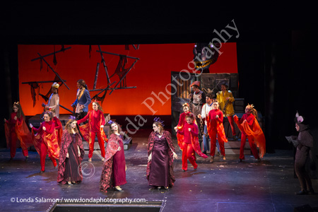 208_9954_MG_4558