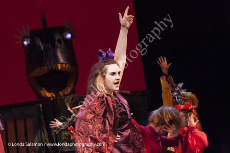 210_9952_MG_2392