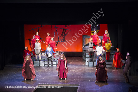 217_9954_MG_4567