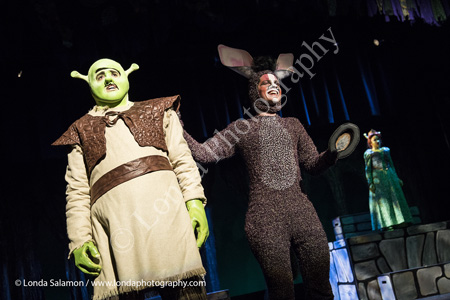 240_9951_MG_4085