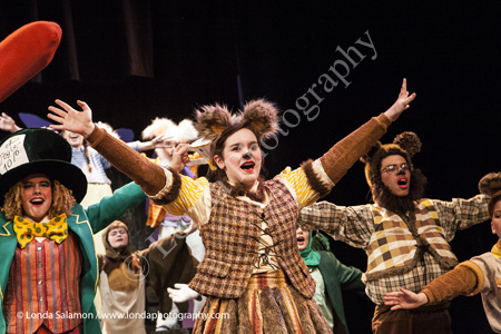 377_9951_MG_7177
